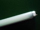 Led Tube Light